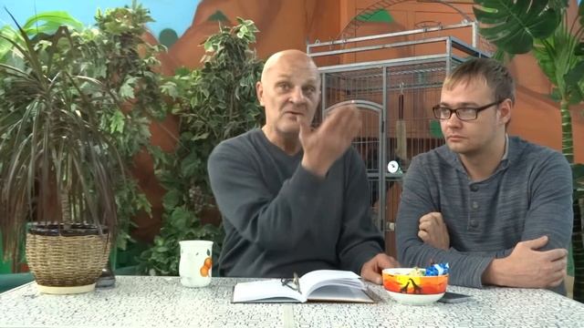 Животные и люди! О роли людей в жизни животных смотреть онлайн