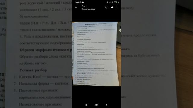 морфологический разбор существительного