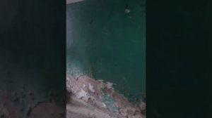 Общежитие на Быстрова рушится на глазах у жителей (4.12. 2016)