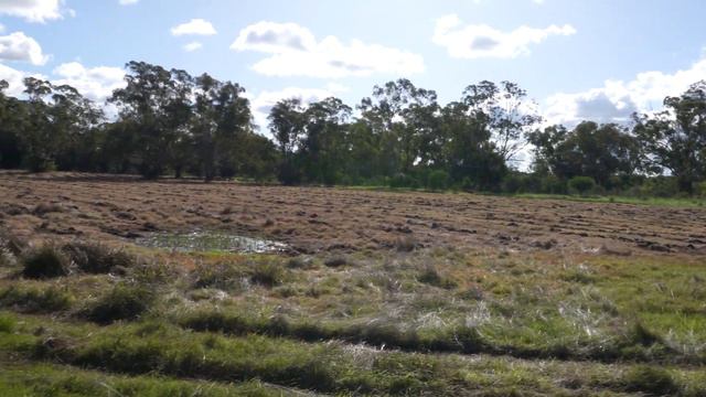 The Long-Forgotten Bennett Brook Bridge смотреть онлайн
