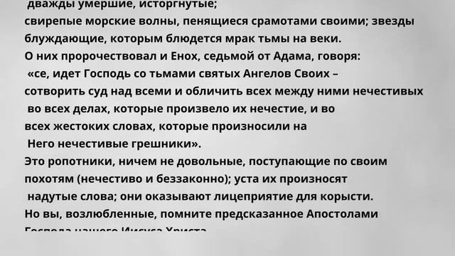 Евангелие дня Апостол с толкованием Церковный календарь 23 февраля четверг смотреть онлайн