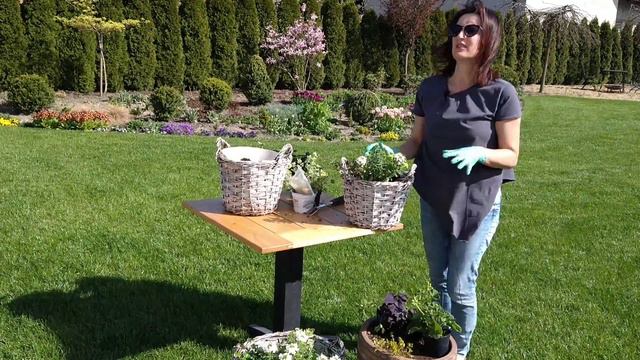 Jakie Rośliny Sadzić W Donicach Na Balkonie I Tarasie? Sadzimy Supertunie W Ogrodzie.