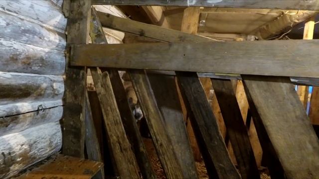 Возвращение Рыжика. Козел в продаже смотреть онлайн