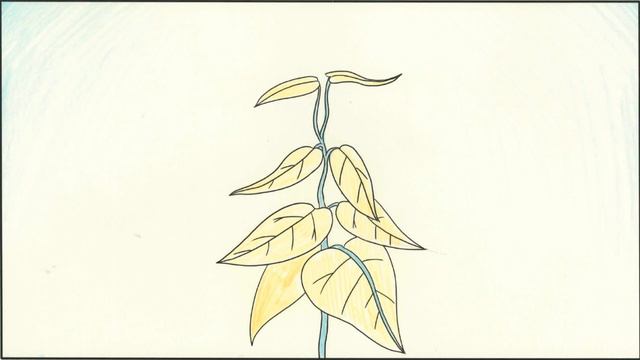 Woodfordia Tree Planting Festival Animation Workshop 2018 смотреть онлайн