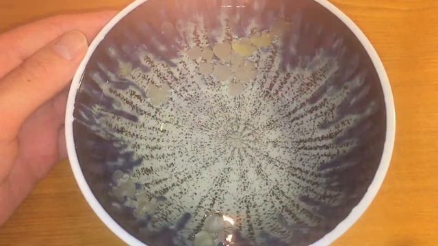 Какие важные события🌞произойдут до конца лета? смотреть онлайн