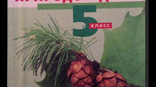 Природоведение. 5 класс. Часть I. Вселенная. Звезды смотреть онлайн