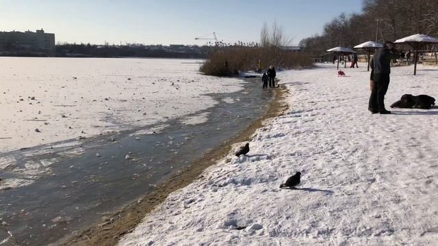 Зимние горки в Ростове-на-Дону, где покататься, северное водохранилище смотреть онлайн