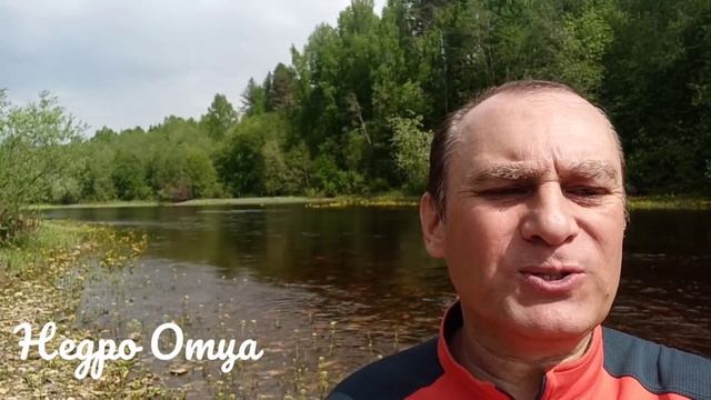 НЕДРО ОТЦА смотреть онлайн
