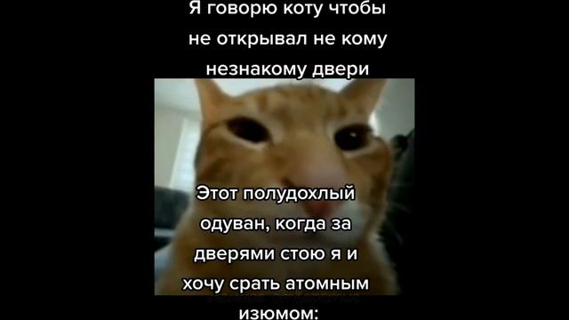 тикток проспал школу | подборка мемов смотреть онлайн