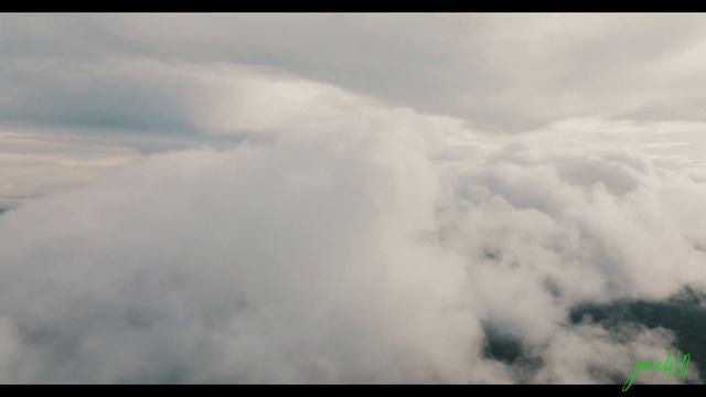 THE AMAZON RIVER WITH A CINEMATIC AND AMBIENT SOUND RELIEVED STRESS