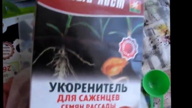 Урожайные грядки. Пикируем баклажаны . смотреть онлайн
