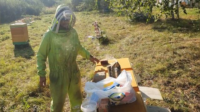 обработка и профилактика пчел от варотоза и акарапидоза муравьиной кислотой 85% смотреть онлайн