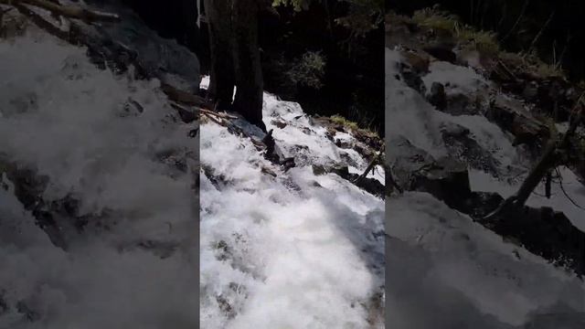 Чигордали.Архыз.Тебердинский заповедник. смотреть онлайн