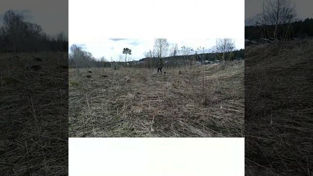 Коп у ж/д! Металоискатели ар 944м и тх 850,!!! смотреть онлайн