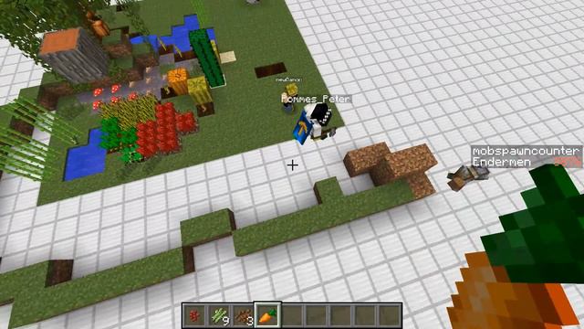 Minecraft 1.8 Time Machine - Manipulating Random Block Updates смотреть онлайн