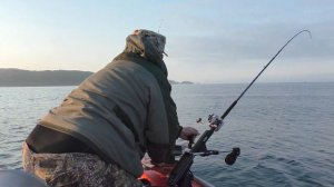 ТРОЛЛИНГ 2021г СИМА КЛЮЁТ!!!