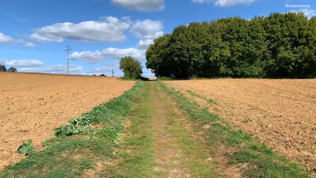 Externes Mikrofon Für IPhone 11 Pro & Android - Saramonic Blink 500 // Deutsch 4K 60 FPS