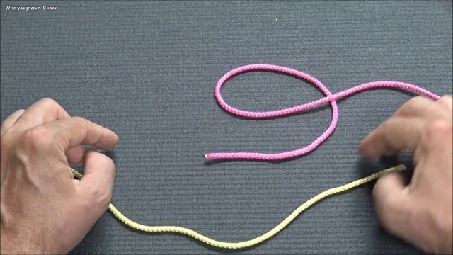 Как Завязать Узел Цеппелин, Очень Надежный, Легко развязывается После Нагрузки @Popular_Knots смотреть онлайн