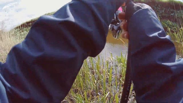 Team Dubna BACKWATER. Обзор и тест нового спиннинга на рыбалке в Карачане.
