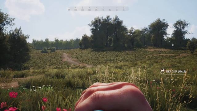 Brown Bear Locations - Hunting Simulator 2 смотреть онлайн