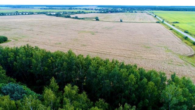 DJI 4K H265 MANUAL COLOR смотреть онлайн