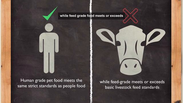 What It Means To Be Human Grade Pet Food (In 1 Minute)