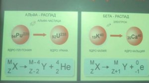 11 класс. Физика. Радиоактивность. Закон радиоактивного распада