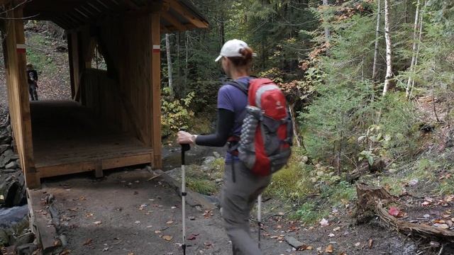 Mushroom kingdom | Mont Hereford | Hiking guide смотреть онлайн