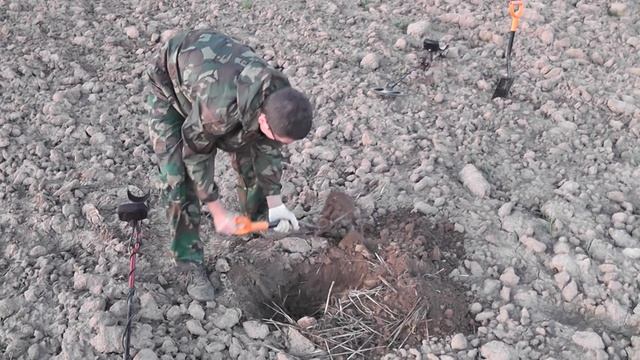 В поисках сокровищ! / In search of treasure! смотреть онлайн