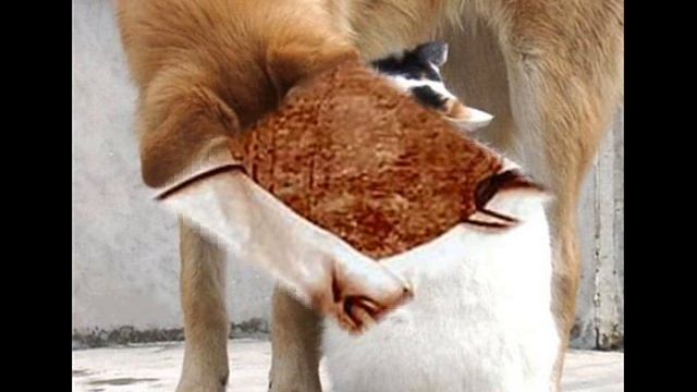 ДрУзЬя , ДрУзЬя МеЖдУ мУжЧиНаМи И жЕнЩиНаМи ......... смотреть онлайн