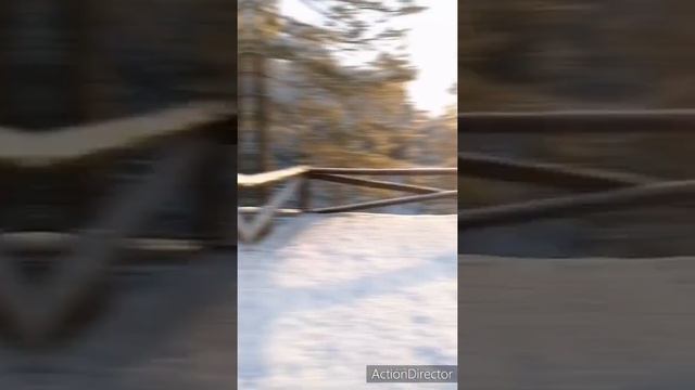 Поездка в Аршан смотреть онлайн