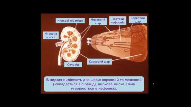 Zagalna harakteristika sistemi vidilennya смотреть онлайн