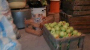 Сделали Соковыжималку Из  Стиральной Машины, Выжжали Сок 200 Кг Яблок