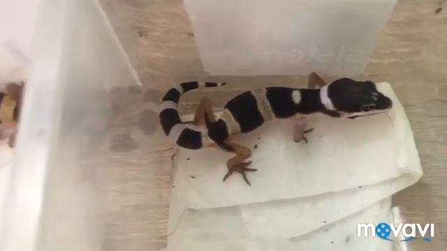 Свершилось то чего я так долго ждал