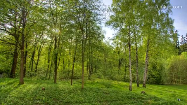 1 год за 40 секунд (One Year in 40 seconds) смотреть онлайн