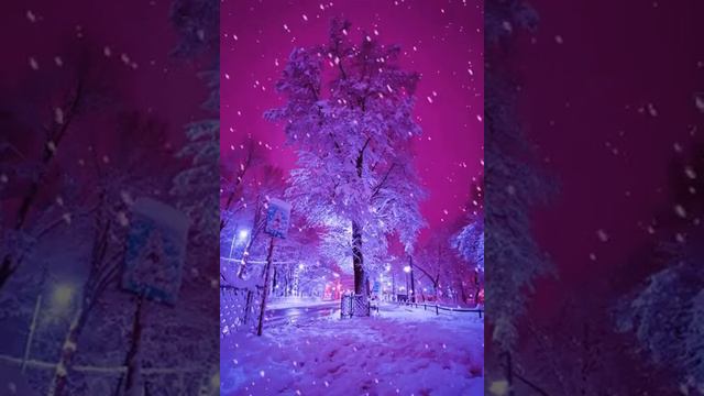 Виртуозная классическая музыка3. #classicalmusic #music2021