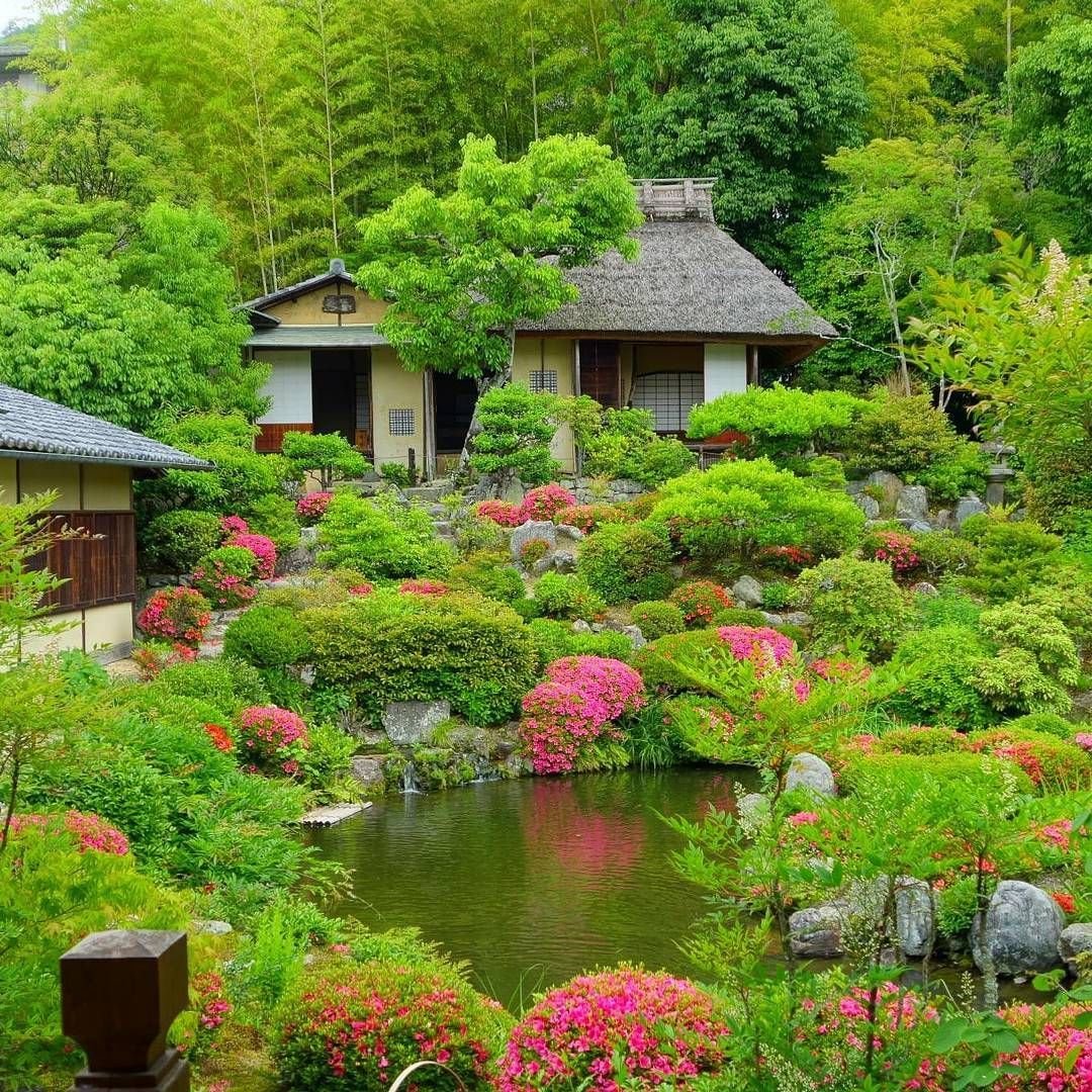 Как посадить растения правильно #garDen #orGanic смотреть онлайн