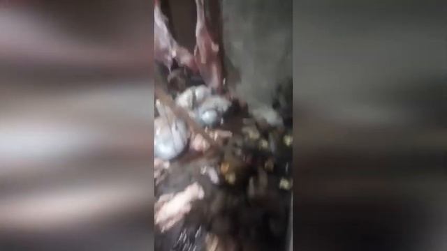 из чего же из чего же сделан фарш говяжий? смотреть онлайн