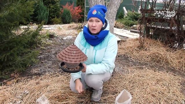 Птицы в саду зимой - одна только польза! Как привлечь синичек в сад и сделать простые кормушки смотреть онлайн