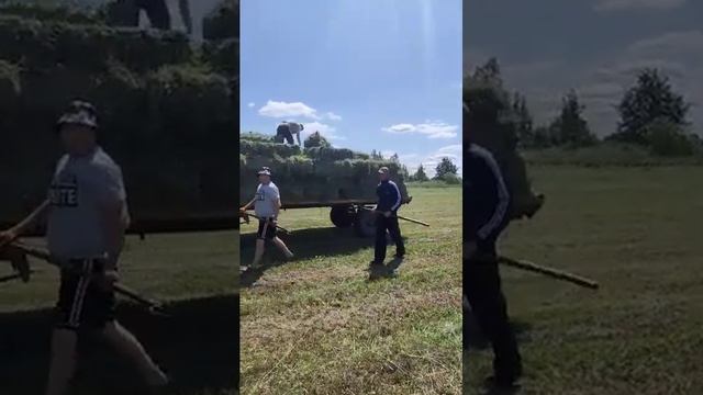 СІНО в тюках від ВИРОБНИКА 03.06.2023р. смотреть онлайн