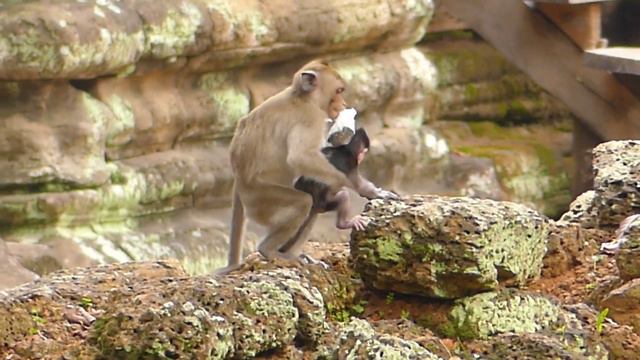 MG! JAZZY Horribl Scare nd Try leaving Hard nd JANNA Look So Power Kidnap Without Care JAZZY Hurtin смотреть онлайн