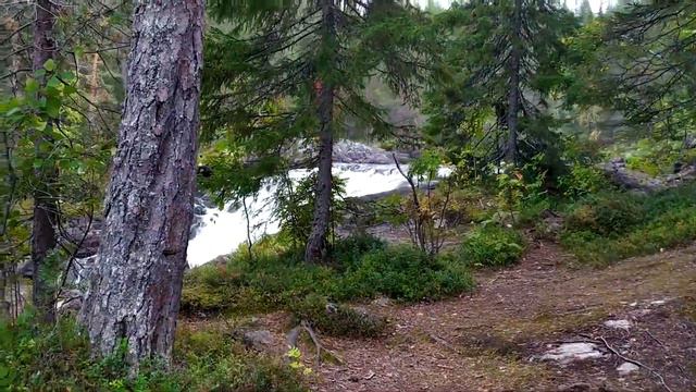 КАРЕЛИЯ: водопад КУМИ-ПОРОГ. смотреть онлайн