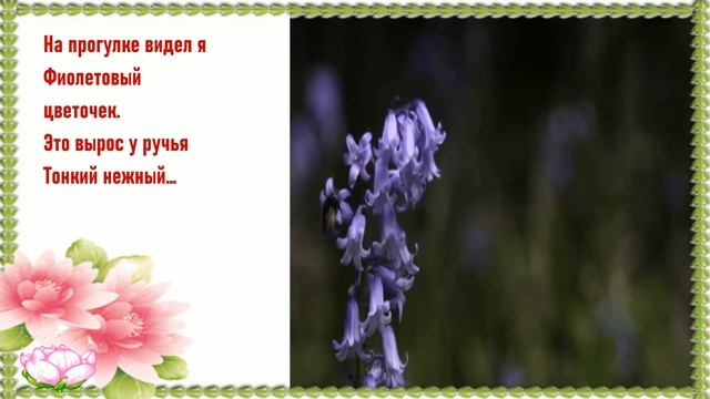 Загадки про цветы для детей! смотреть онлайн