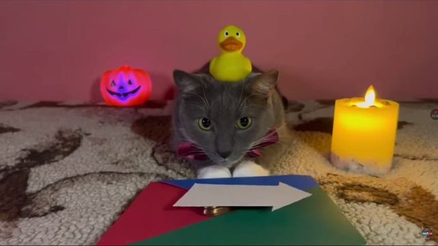 Котинет Качели Урок Страшных Игр смотреть онлайн