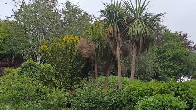 Молитва ко Господу Иисусу Христу о детях смотреть онлайн