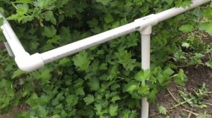 Подпорка для крыжовника смородины из ПВХ полипропиленовых труб 2016 2017 лайфхак