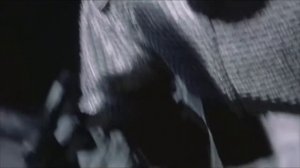 Пикник Инкогнито Эквилибриум