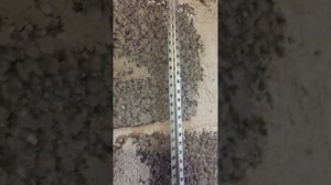 Установка штукатурных маячков на кляймер