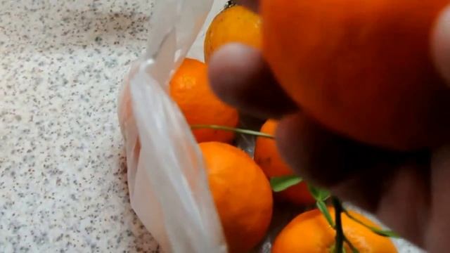 ЖАРЕНАЯ СВИНИНА БЫСТРО ВКУСНО КЛАССНО