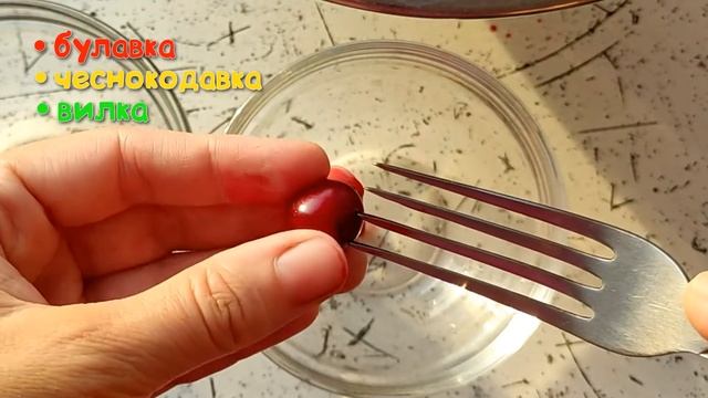 ? 6 ПРОСТЫХ СПОСОБОВ ? Как удалить КОСТОЧКИ из ВИШНИ / Наталья Калинина смотреть онлайн